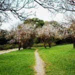 El parque urbano de Syngrou en Atenas El parque urbano de Syngrou en Atenas
