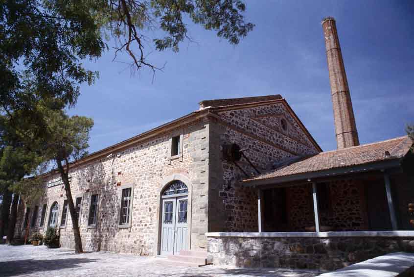 Museos de oliva, en Grecia