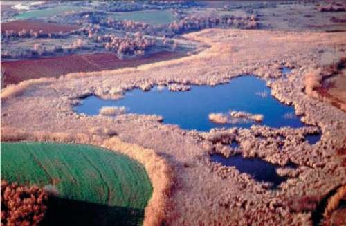 Las siete lagunas del río Nestos Las siete lagunas del río Nestos