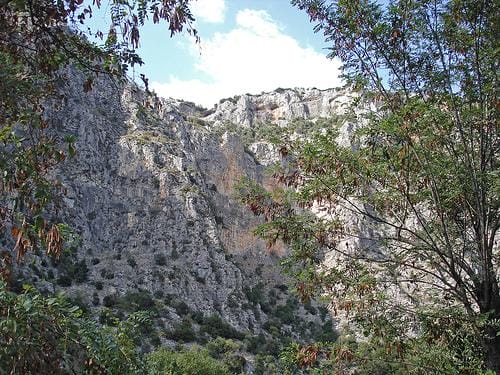 El conjunto forestal de Osa El conjunto forestal de Osa