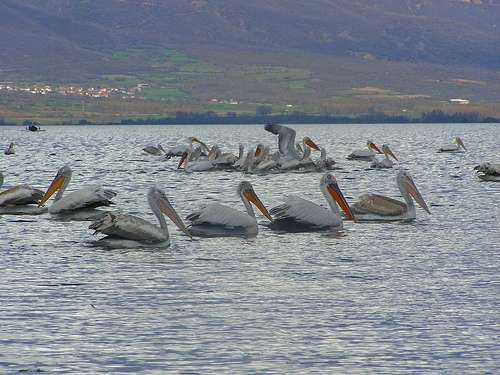 Serres, un reencuentro con la naturaleza Serres, un reencuentro con la naturaleza